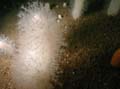20030528-100752-hm