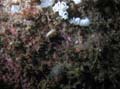 20030528-103535-hm