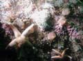 20030528-103713-hm