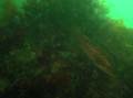 20030528-105540-hm