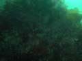 20030528-105552-hm