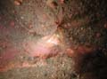 20030528-151910-hm