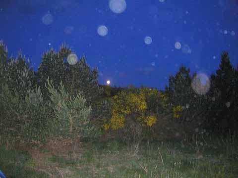 20030613-225458-her