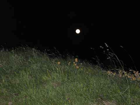 20030613-232202-her