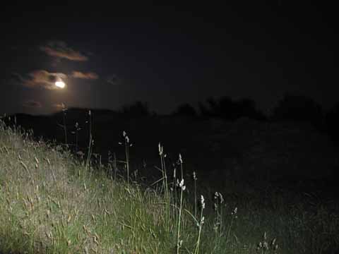 20030614-001219-her