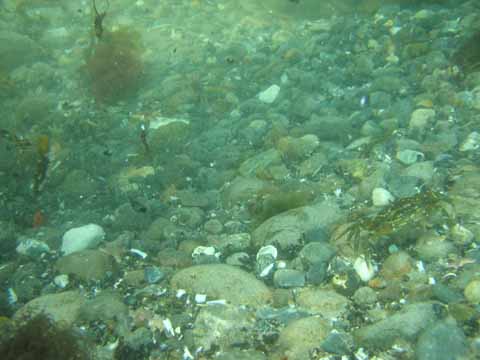 20030614-112034-her