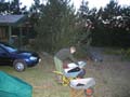 20030613-223044-her