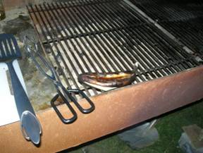 DSCN4684.JPG