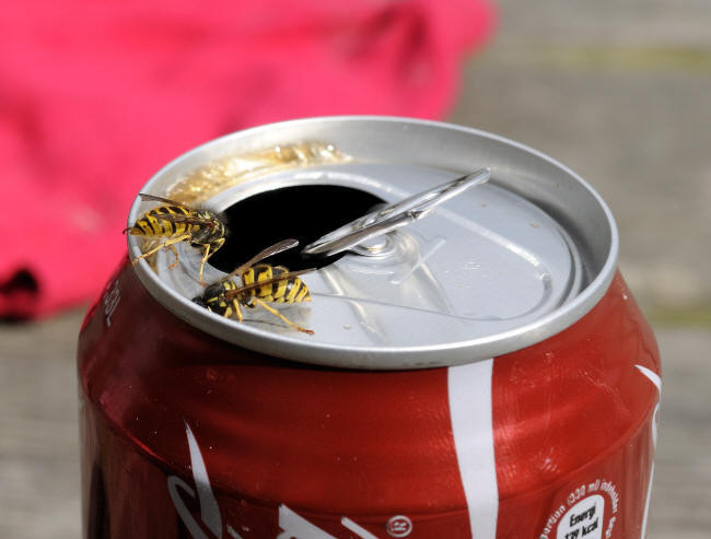 De var ogs� sultne