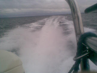 Billedeguf