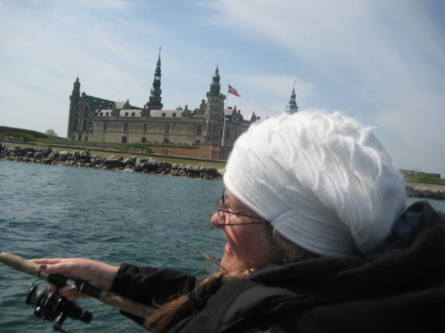 Ingen hornfisk