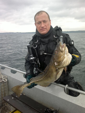 �resundstorsk