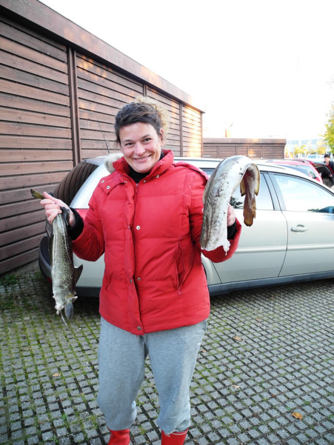 Lidt fisk