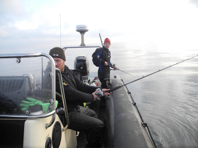 Fisk p� loddet