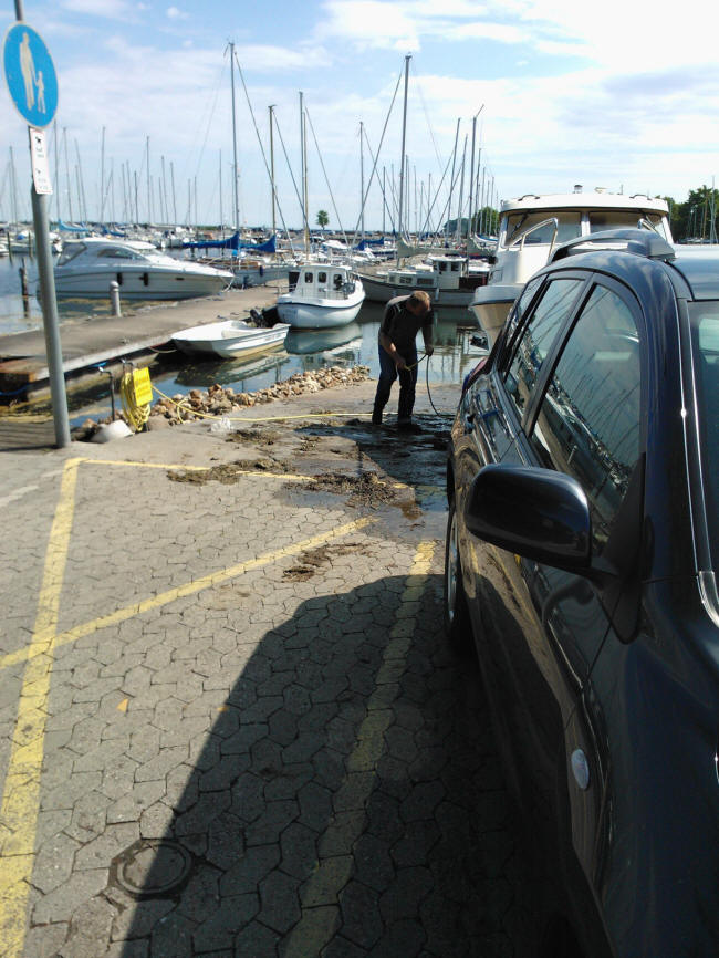 Endnu en Havbasse