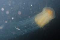p8020052_small.jpg