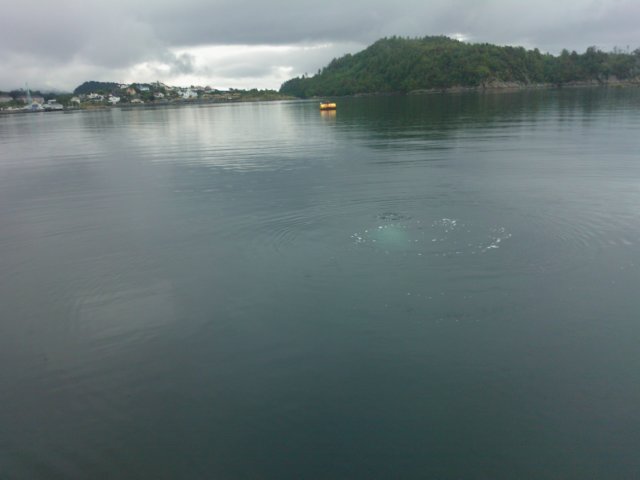 wp_000772.jpg