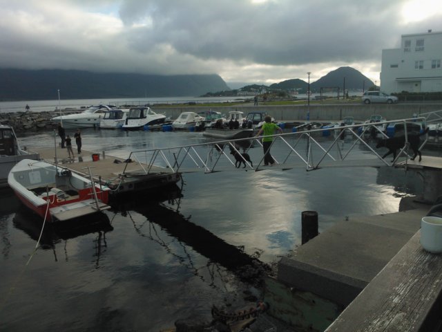 wp_000892.jpg