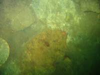 sb017_small.jpg