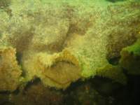 sb022_small.jpg