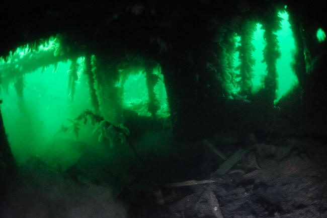 Under bakken