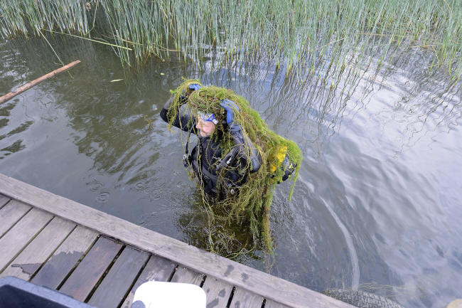 Køn plante