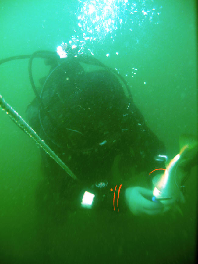 Fiskerens