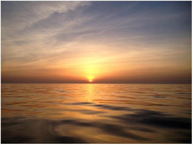 Solnedgang