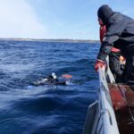 Turberetning fra S.S. Otto d. 5/4 2021