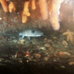 I vandland på en søndag d. 20/6 2021