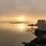 UV-jagt i Norge 2021