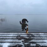 Juleaftensdyk d. 24/12 2021