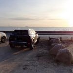 Trykkerdammen d. 12/2 2022