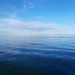 Tirsdagsdyk på Robert d. 19/4 2022