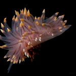 Langfredag på havet 15/4-2022