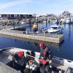 Første forårsdyk fra Hundested d. 16/4 2022