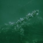 Pinsetur til Kronprinsen og Nixe d. 5/6 2022